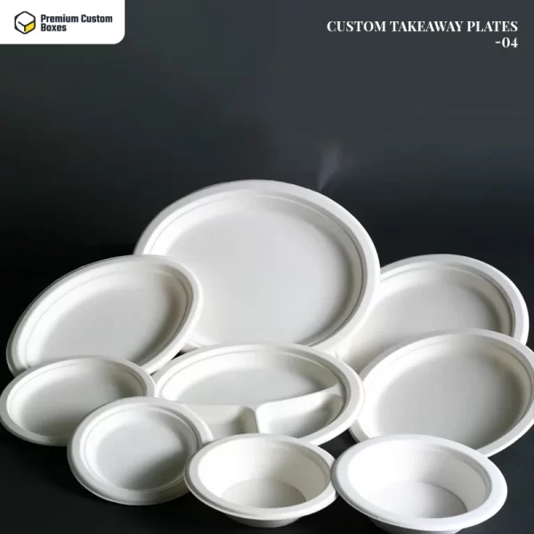 Custom Takeaway Plates wholesale 04